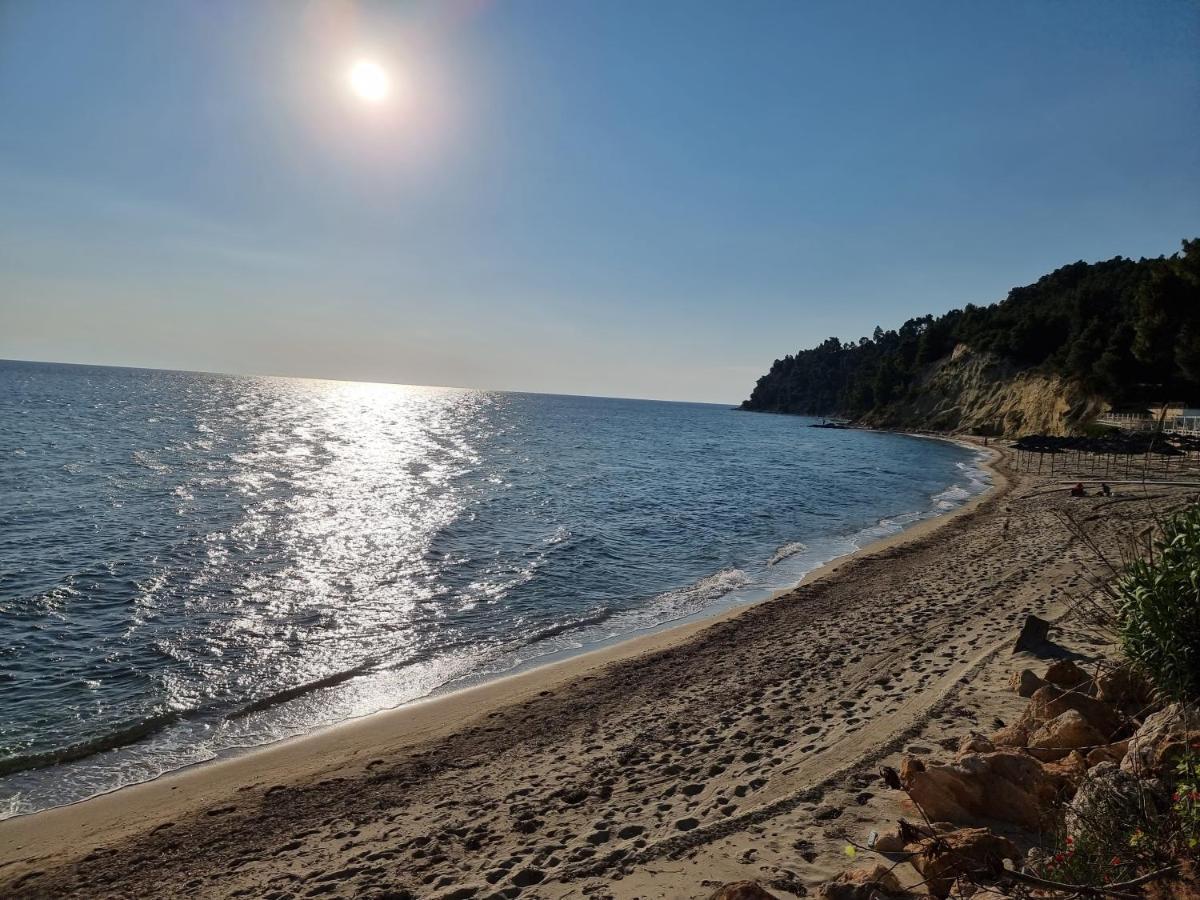 Beachfront Villa 100M From Sea For Up To 10 Guests Siviri Esterno foto