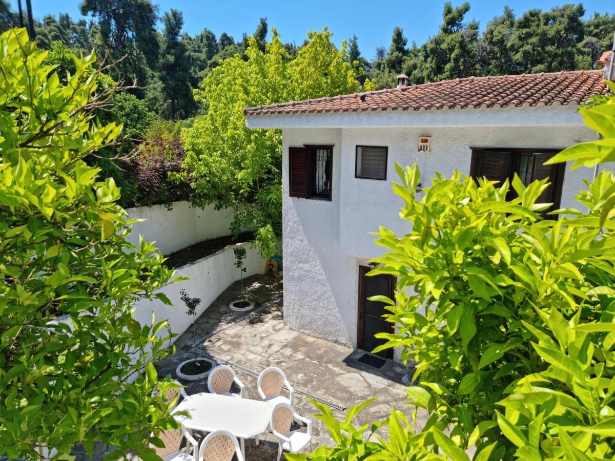Beachfront Villa 100M From Sea For Up To 10 Guests Siviri Esterno foto