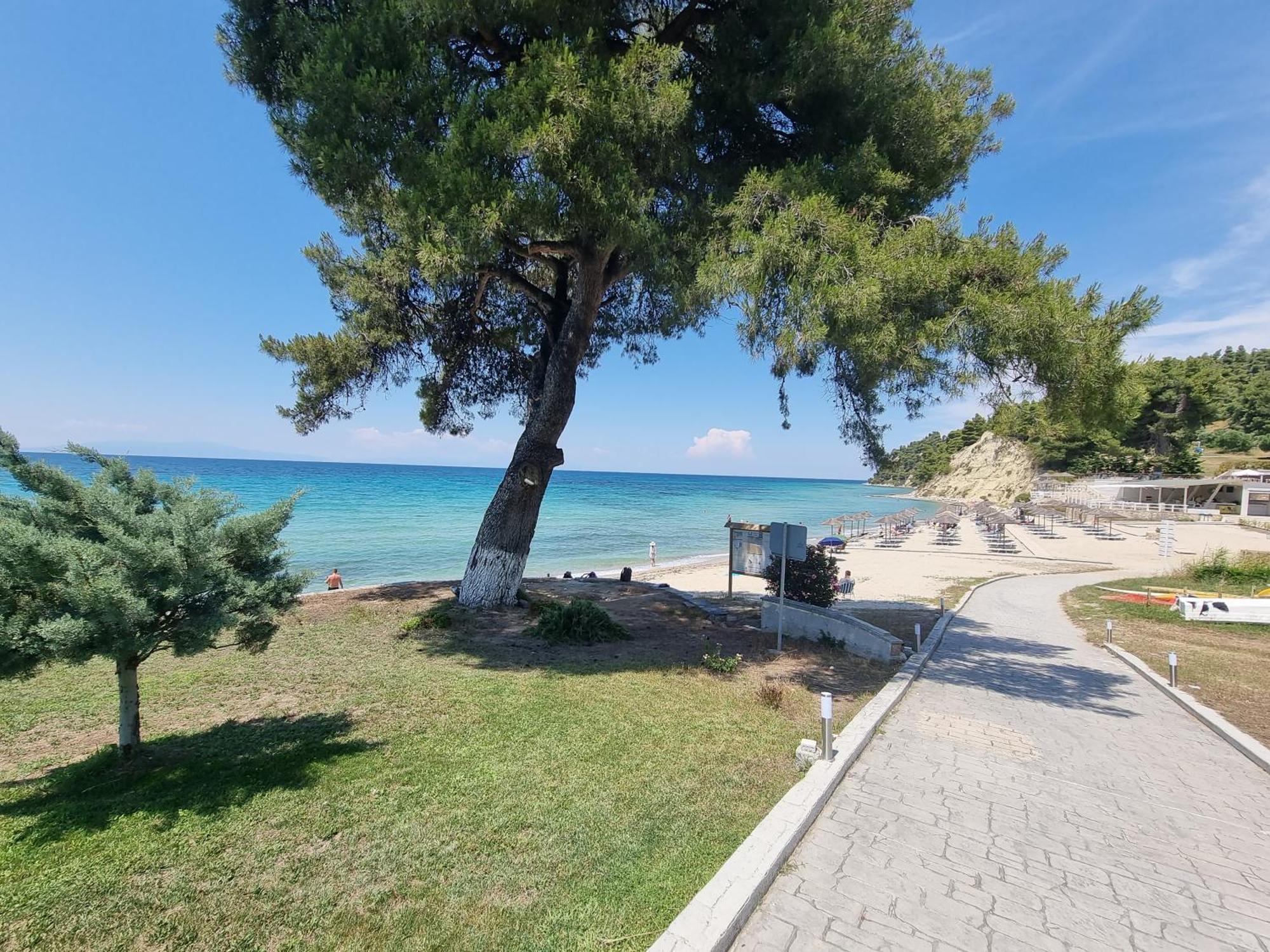 Beachfront Villa 100M From Sea For Up To 10 Guests Siviri Esterno foto